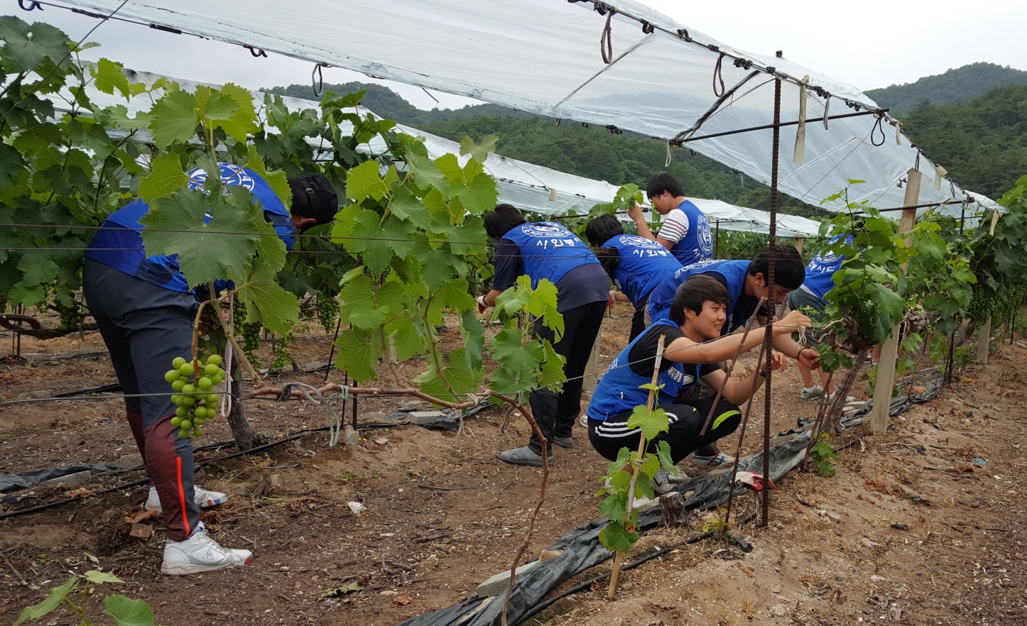 창조산업연구소 이미지